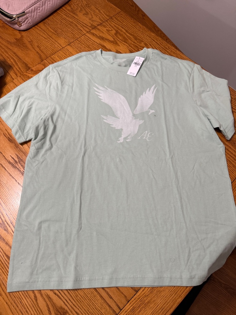 AE Men’s Graphic T‑Shirt in Light Sage